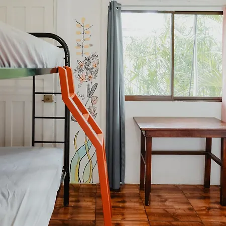 La Tribu Boutique Hostel For Women-3